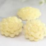 Cream Flower Resin Cabochons 8pc