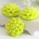 Lime Green Dahlia / Mums Flower Resin Cabochons..