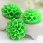 Green Dahlia / Mums Flower Resin Cabochons 6pc