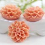 Light Coral Dahlia / Mums Flower Resin Cabochons..