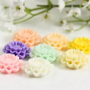 Flower Resin Cabochons Mix Pack 8pc