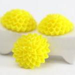 Yellow Dahlia / Mums Flower Resin Cabochons 10pc